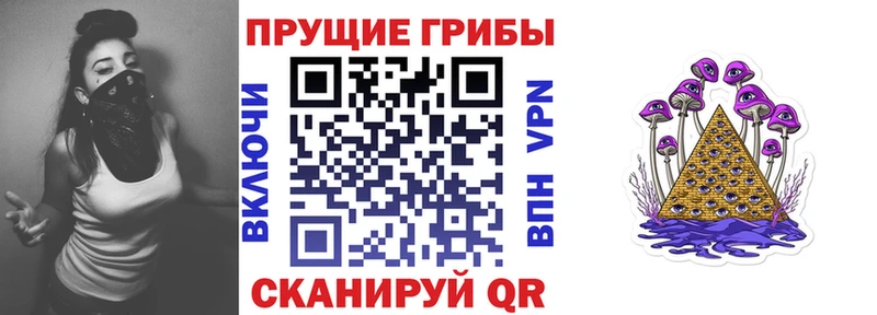 Купить где  Балей  Псилоцибиновые грибы Magic Shrooms 