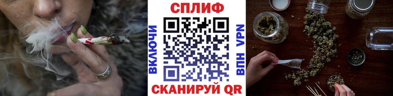 Бошки марихуана VHQ  Купить закладки  Балей 